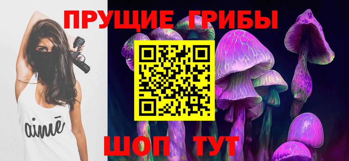 Псилоцибиновые грибы прущие грибы  Вход с VPN  Новозыбков 